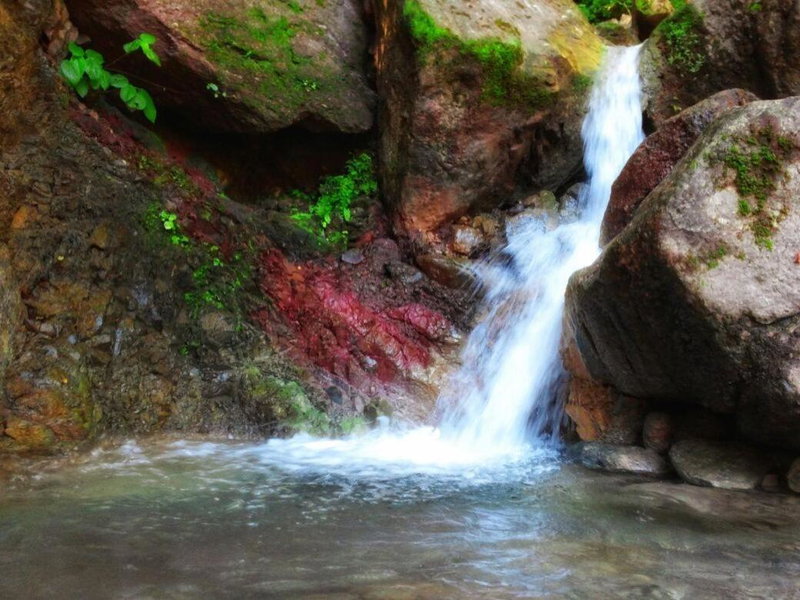 Casa Río Cuale and River Retreat, Puerto Vallarta, Mexico