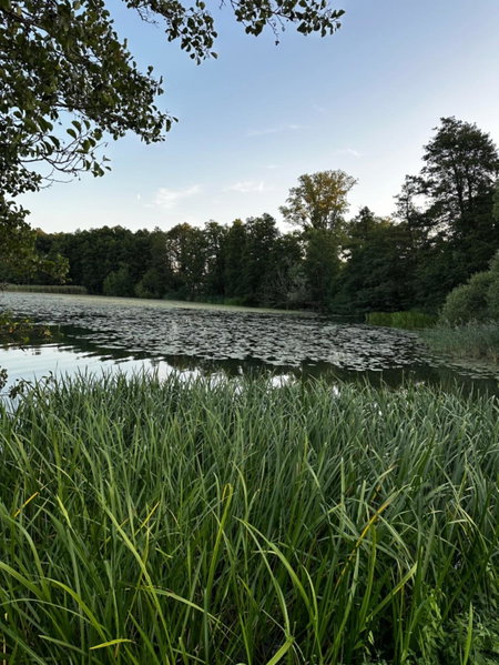 Apartamenty VIP CENTRUM, Mrągowo, Poland