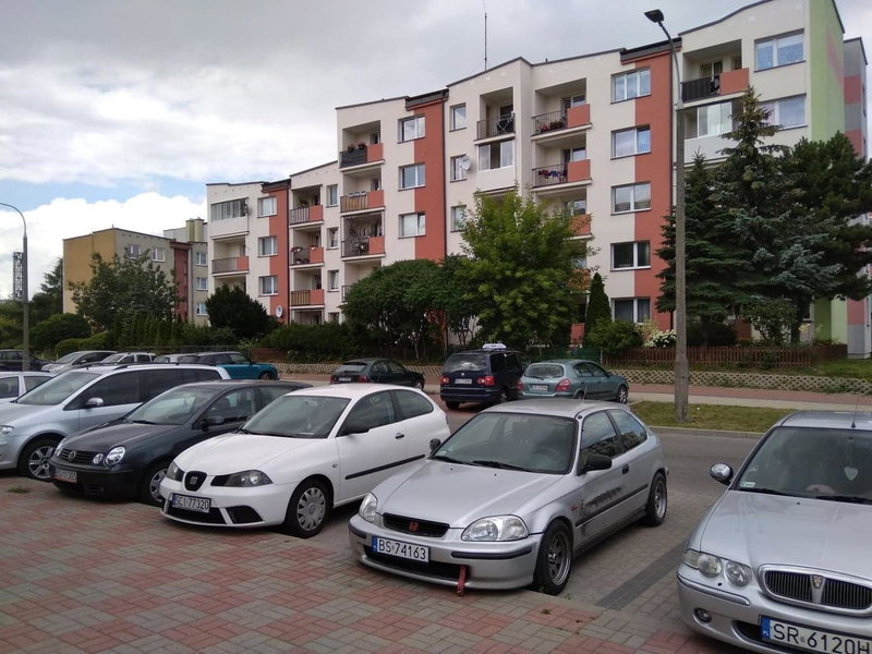 Kaktusik, Suwałki, Poland