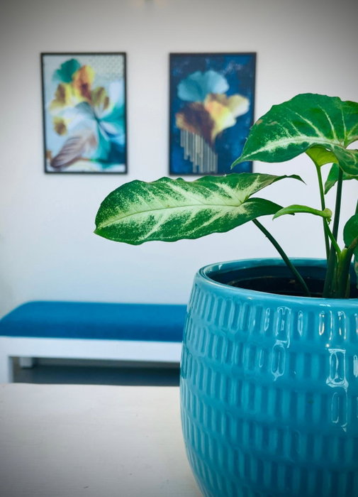 The Oval House, Kochi - Approved by Kerala Tourism - Exclusively for Families, Cochin, India