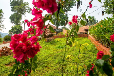 Pranavam Resort & Spa, Padinjarathara, India