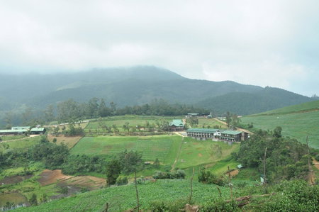 Destiny - The Farm Resort, Ooty, India