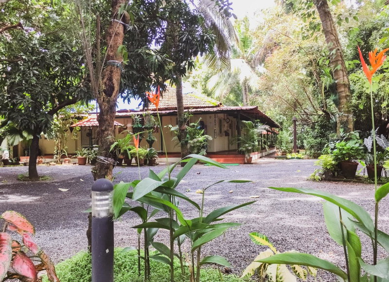 Palm Grove Service Villa, Cochin, India