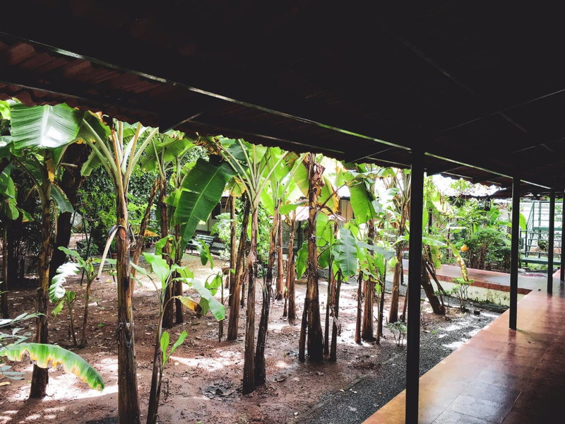 Palm Grove Service Villa, Cochin, India