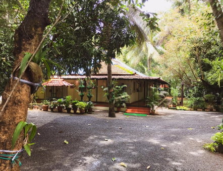 Palm Grove Service Villa, Cochin, India