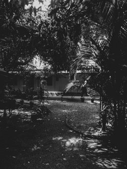 Palm Grove Service Villa, Cochin, India