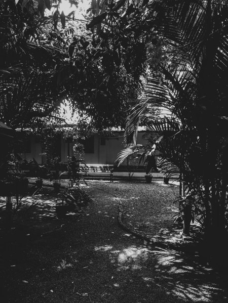 Palm Grove Service Villa, Cochin, India
