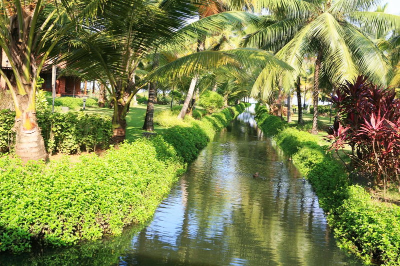 Lakesong Resort, Kumarakom, India