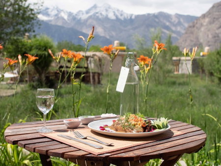Lchang Nang Retreat - The House of Trees, Leh, India