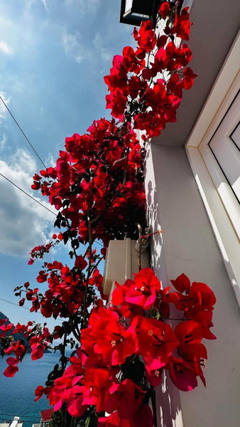 Elenis Studios&Apartments, Masouri, Greece