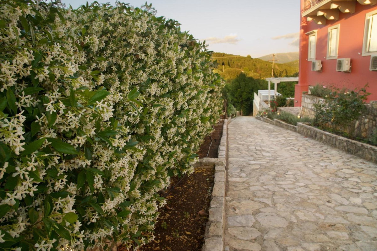 Hotel · Magnolia Apartments, Fiskardho