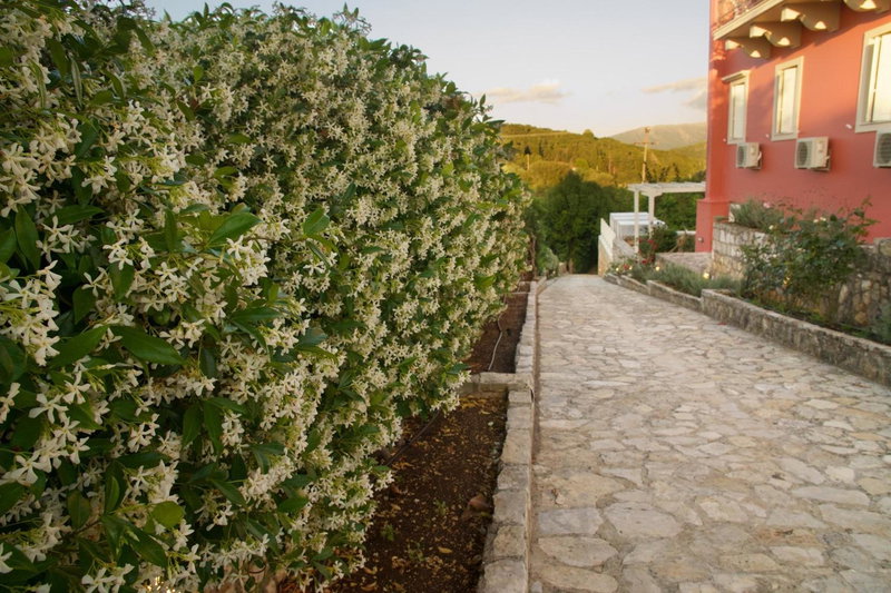 Magnolia Apartments, Fiskardho, Greece