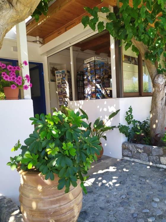 Hotel · Giannis Rooms, Agia Roumeli