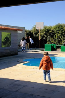 FreeSurfCamp & Hostel, Peniche, Portugal