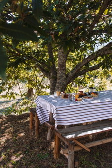 Pura - Home in Nature, Oliveira do Hospital, Portugal