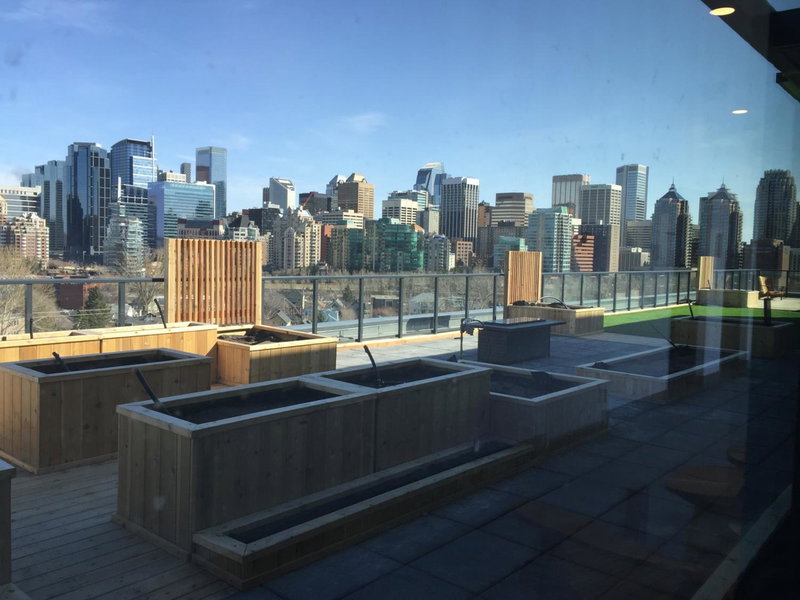 Kensington Suite 2bed & 1bath, Calgary, Canada