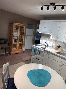 Newly Renovated Basement Suite!, Lethbridge, Canada