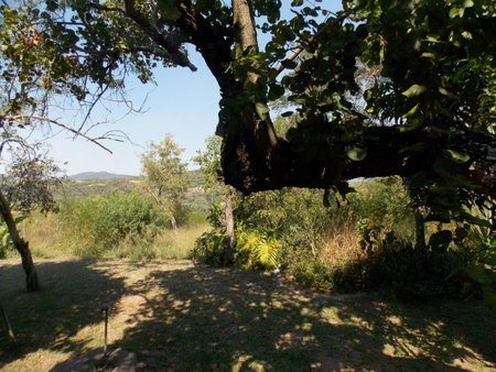 Leopard Tree Retreat, Nelspruit, South Africa