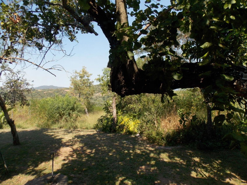 Leopard Tree Retreat, Nelspruit, South Africa