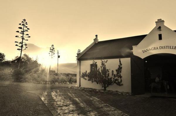Tanagra Wine & Guestfarm, McGregor, South Africa