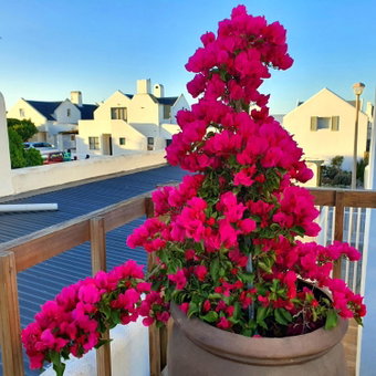 LekkeBly - Boutique Beach Retreat, Paternoster, South Africa