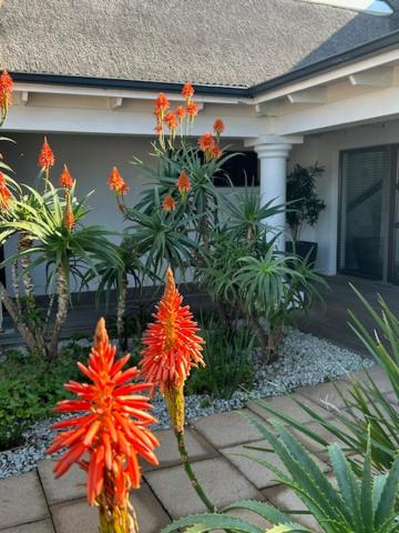 St Francis Golf Lodge, St Francis Bay, South Africa