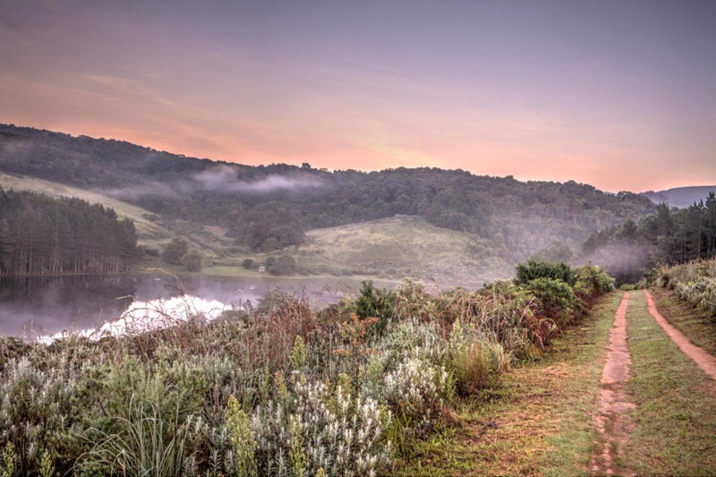 Pavetta Country House, Magoebaskloof, South Africa