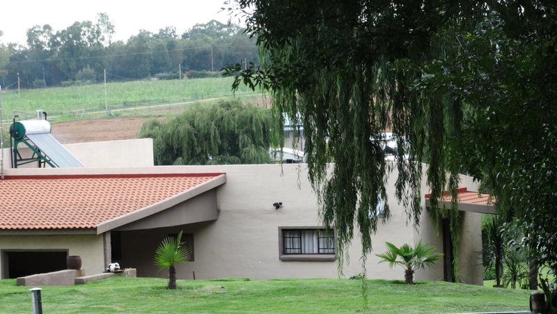 Ibis Nest, Heidelberg, South Africa