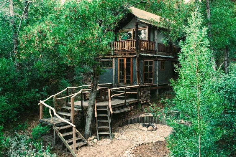 Fernhill Tented Treehouses, Rheenendal, South Africa