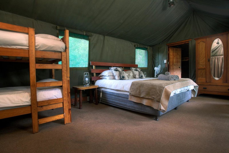 Fernhill Tented Treehouses, Rheenendal, South Africa