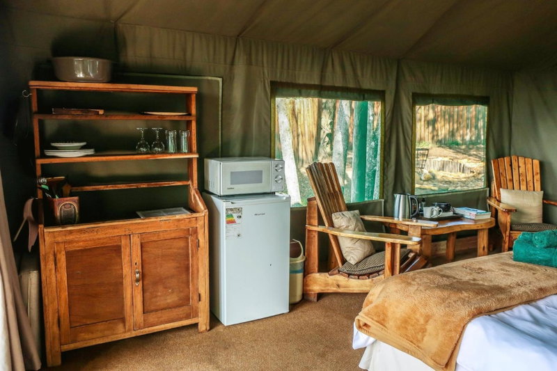 Fernhill Tented Treehouses, Rheenendal, South Africa