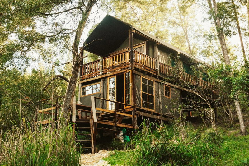 Fernhill Tented Treehouses, Rheenendal, South Africa