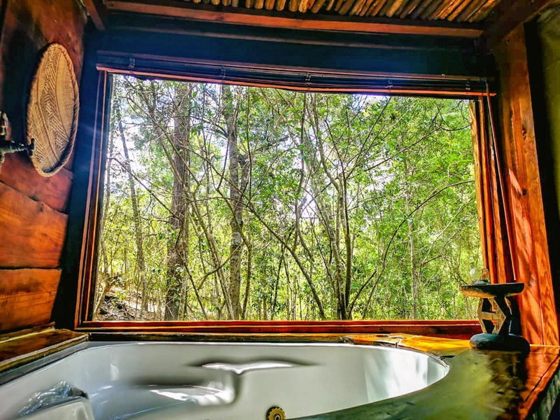 Fernhill Tented Treehouses, Rheenendal, South Africa