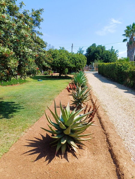86 on Jubilee, Oudtshoorn, South Africa