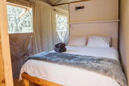 AfriCamps at Oakhurst- Glamping, Wilderness, South Africa