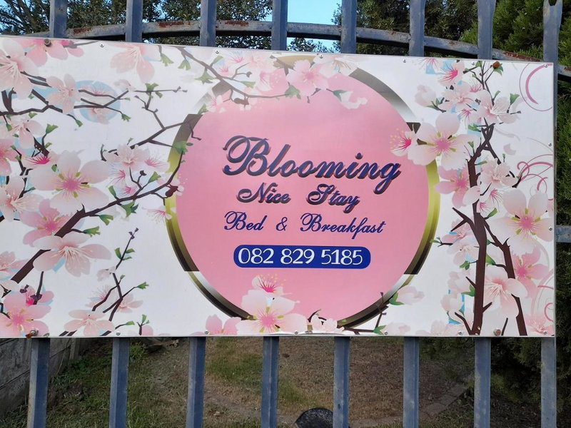Blooming Nice Stay, Harrismith, South Africa