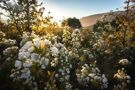 Lentelus Farmstay, Barrydale, South Africa
