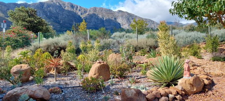 Akkedis at Artemis, Franschhoek, South Africa
