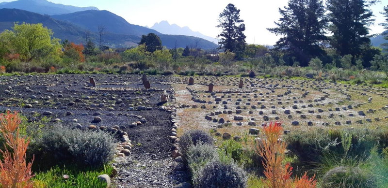 Akkedis at Artemis, Franschhoek, South Africa