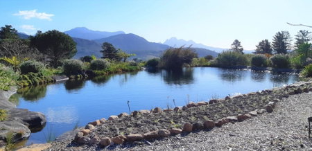 Akkedis at Artemis, Franschhoek, South Africa