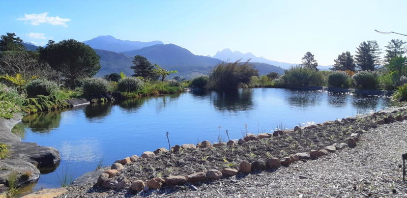 Akkedis at Artemis, Franschhoek, South Africa