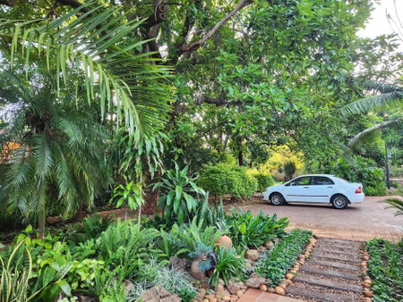 Tree Aloe Guest House, Mokopane, South Africa