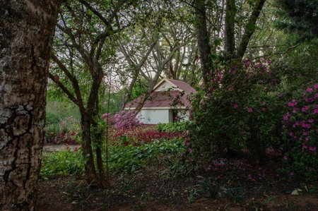 Heuglins Lodge, White River, South Africa