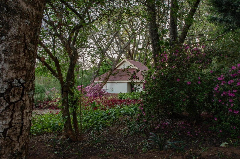 Heuglins Lodge, White River, South Africa