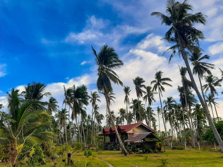 Marianne's Guest House, New Agutaya, Philippines