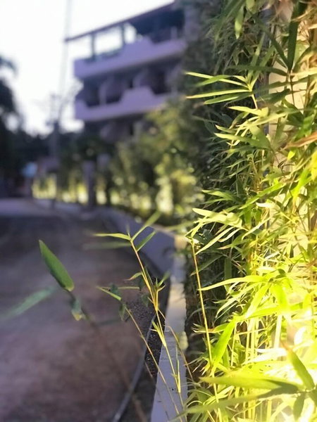 Mayfair Resort, Panglao, Philippines