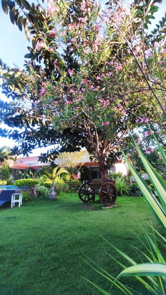 Seaview Beach Resort Dumaguete Beachfront, Sibulan, Philippines