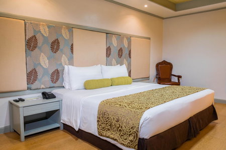 La Piazza Hotel and Convention Center Inc., Legazpi, Philippines