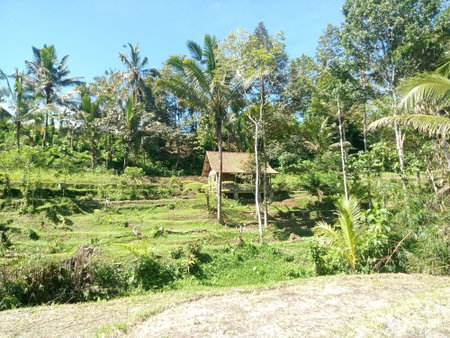 duegoal farmhouse, Penebel, Indonesia