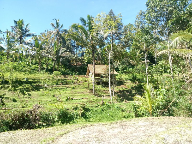duegoal farmhouse, Penebel, Indonesia